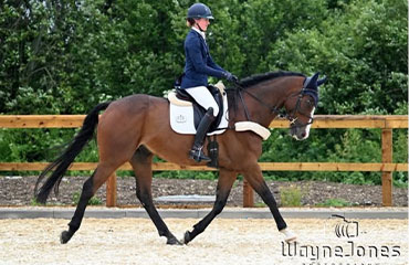 Lyford Stud Championships results
